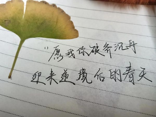 生活碎片怎么写幸福_幸福文案有哪些技巧