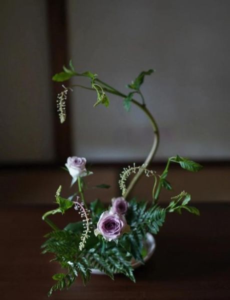 扦花艺术怎么入门_扦花与插花区别是什么