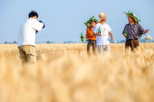 乡村麦田生活怎么样_乡村麦田生活有哪些体验