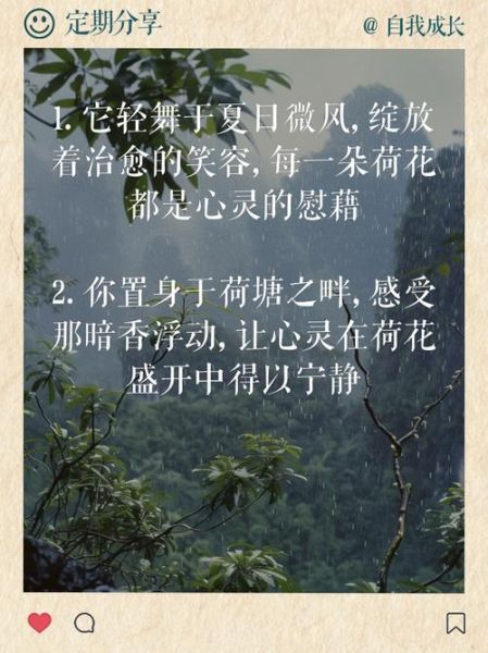 荷花怎么拍才好看_荷花文案怎么写有艺术感