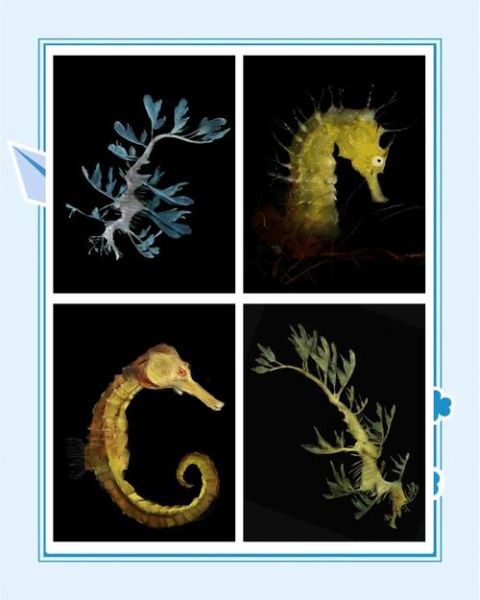 海洋艺术是什么_如何欣赏海洋艺术