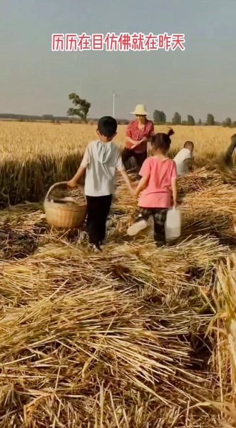 农村童年生活_童年回忆有哪些