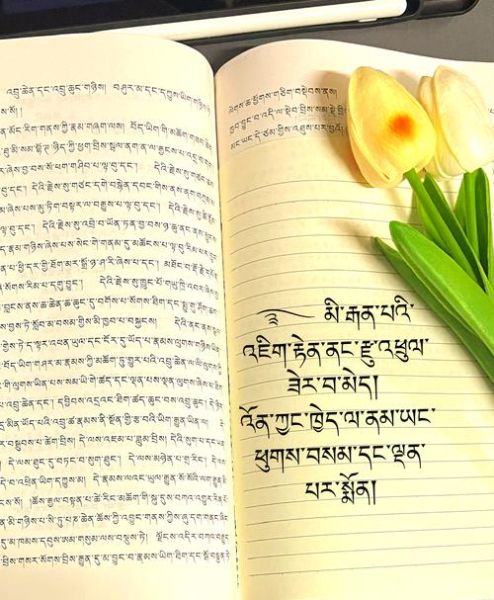 如何过好每一天_藏文生活智慧