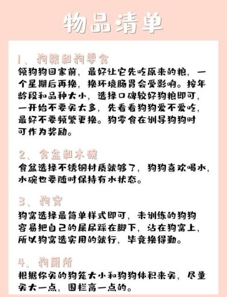 和狗一起生活要注意什么_新手养狗准备清单