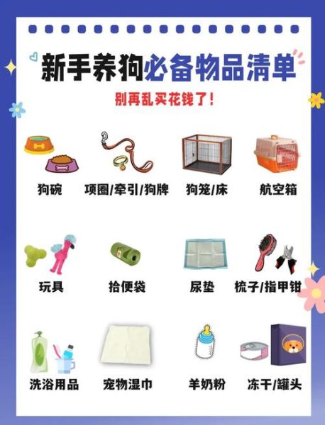 和狗一起生活要注意什么_新手养狗准备清单