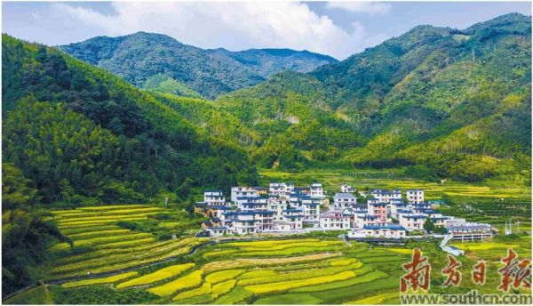 南方农村生活怎么样_南方农村生活有哪些特色