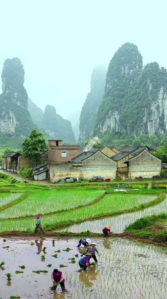 南方农村生活怎么样_南方农村生活有哪些特色