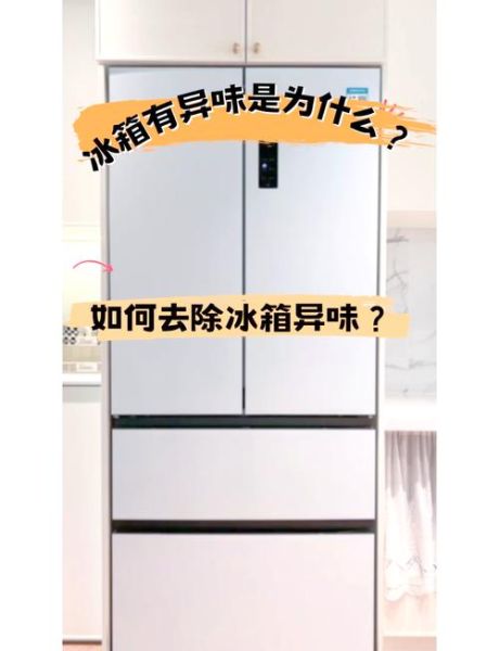 冰箱除味用什么好_冰箱异味怎么快速去除