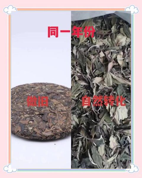 历史名茶图片大全_如何辨别真假老茶