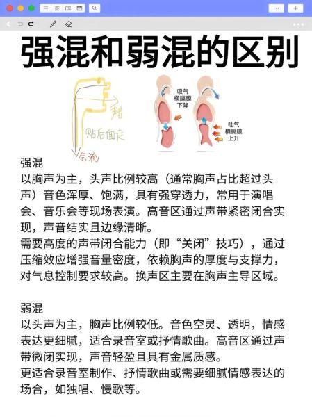 声乐艺术之旅_如何科学发声