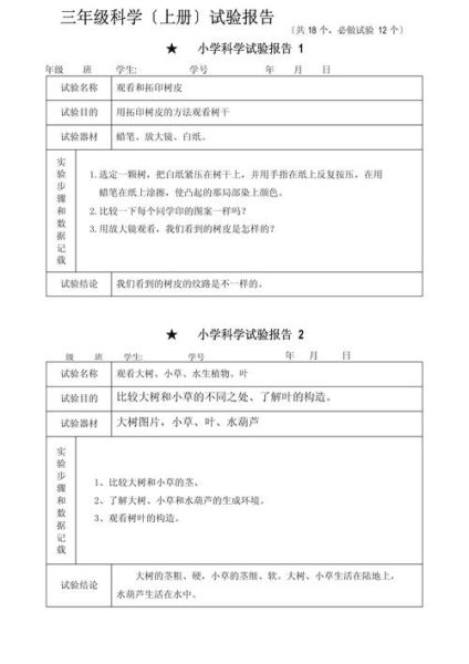 幼儿园科技产品实验报告怎么写_幼儿园科技产品实验报告模板