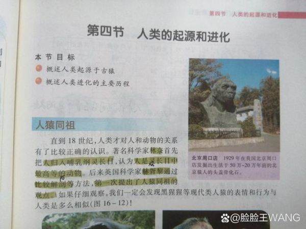 人类起源_人类历史起源大全