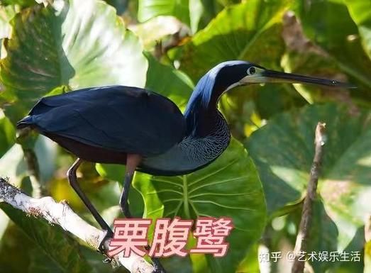 一鹭科技怎么样_一鹭科技有哪些产品