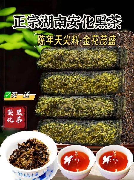 黑茶历史图片大全_黑茶最早起源于哪个朝代