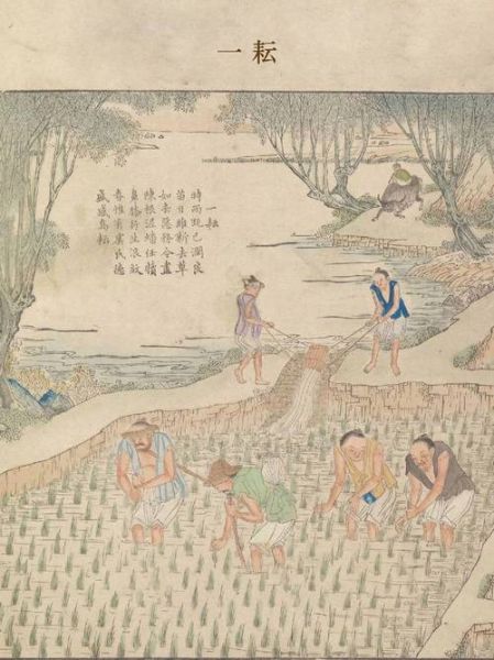 农耕历史图片大全_古代农具演变过程