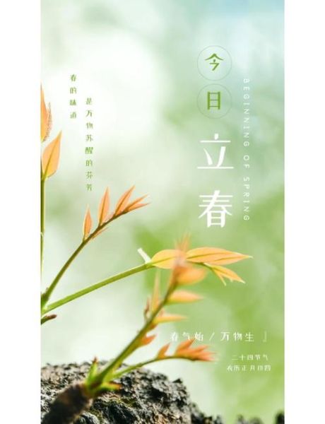 立春文案艺术培训_如何写出节气高级感
