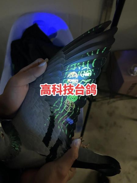 台湾精品高科技产品哪里买_如何挑选台湾高科技产品