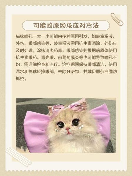 猫眼历史图片大全_如何查找高清原图