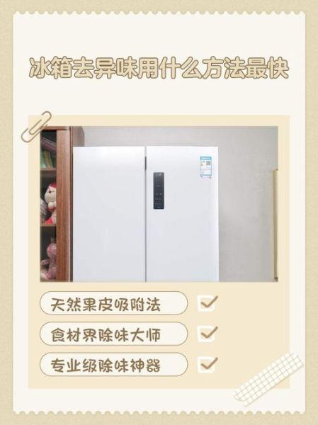 冰箱怎么除异味_冰箱除味小妙招