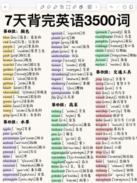 高考历史必背词汇有哪些_如何高效记忆