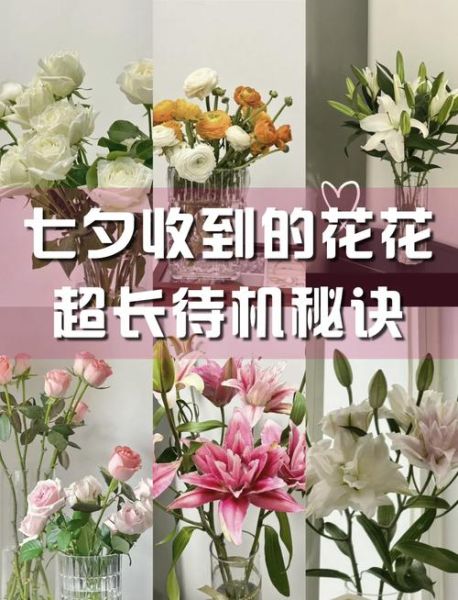 鲜花怎么养才长久_送女朋友鲜花选什么花